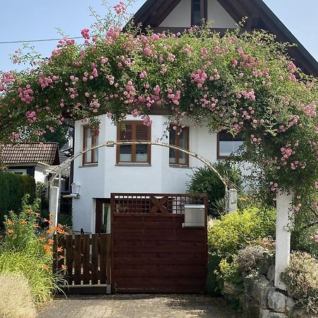 Dalea Apartman Bad Waldsee Kültér fotó