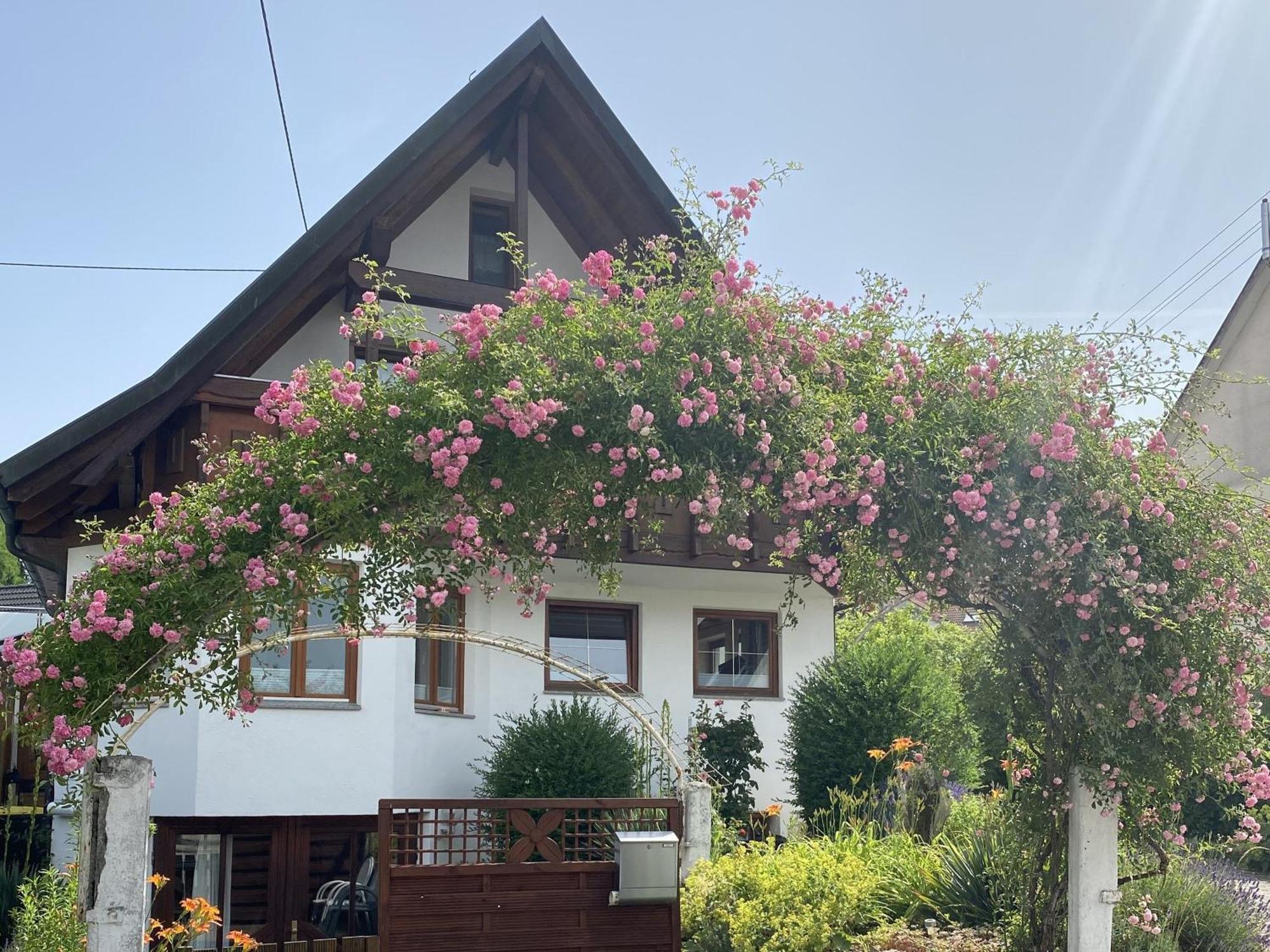 Dalea Apartman Bad Waldsee Kültér fotó