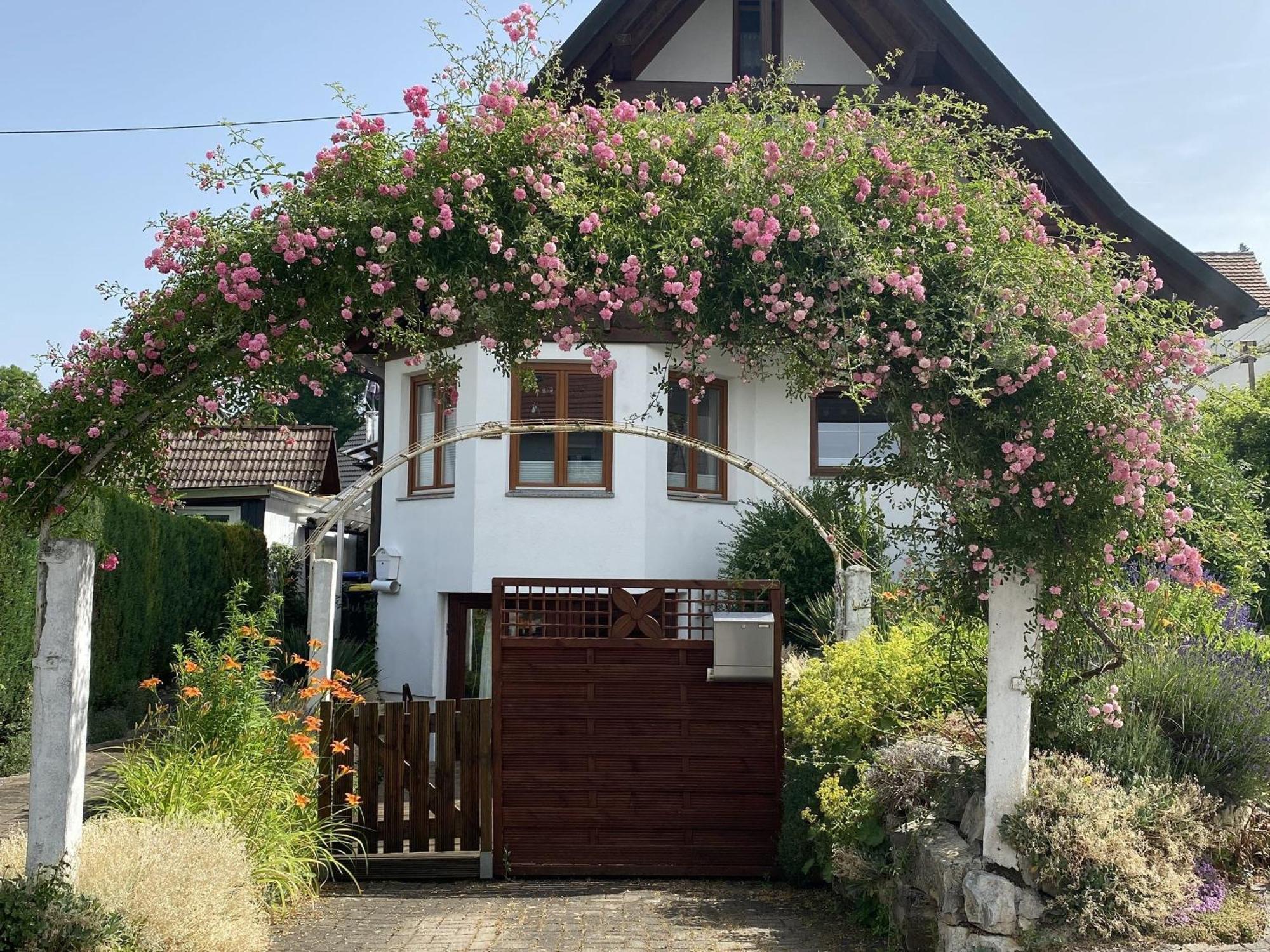 Dalea Apartman Bad Waldsee Kültér fotó